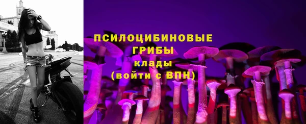 apvp Балахна