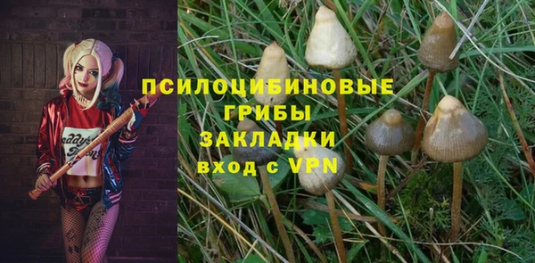 apvp Балахна