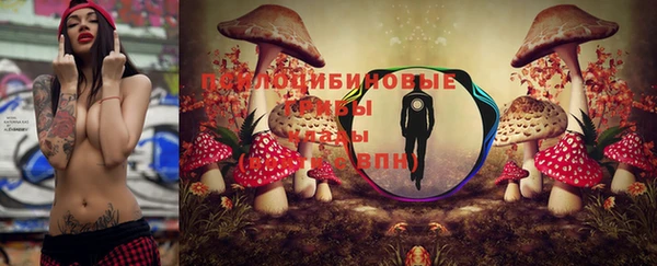 гидропоника Балабаново