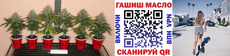 сколько стоит  OMG ONION  Дистиллят ТГК Wax  Югорск 